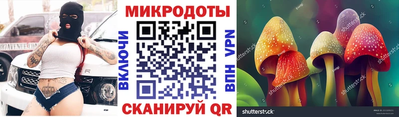Псилоцибиновые грибы мицелий  даркнет сайт  Зуевка 